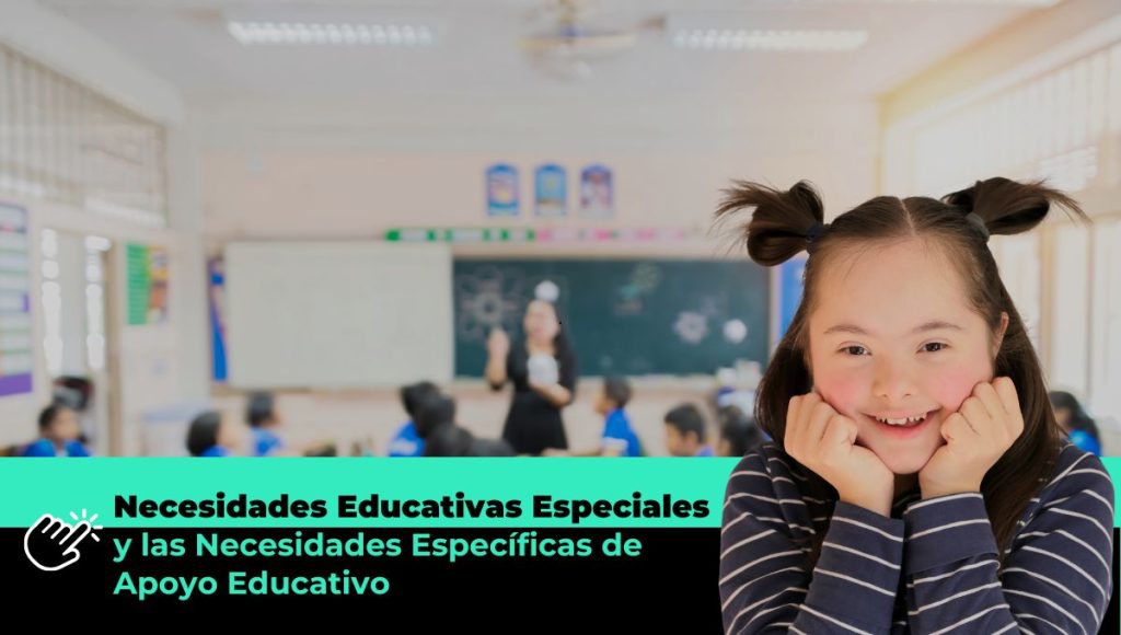 Necesidades Educativas Especiales